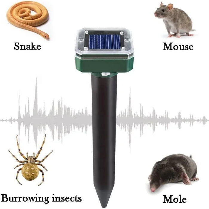 İLAN VƏ GƏMİRİCİ QOVURUCU