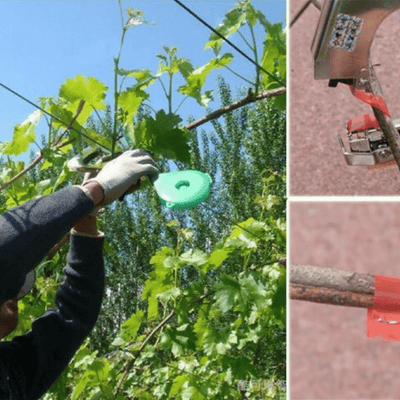 BİTKİ GÖVDƏSİ BAĞLAMA ALƏTİ