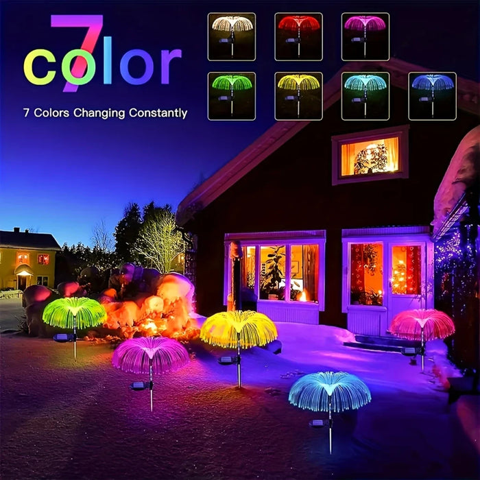 GÜNƏŞ ENERJİLİ MEDUZALAR