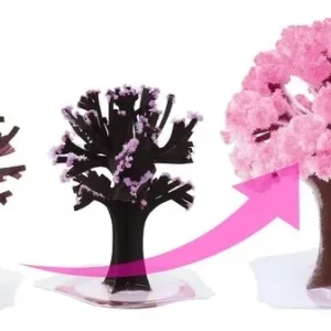 SEHİRLİ SAKURA AĞACI