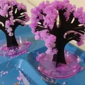 Sehrli sakura ağacı