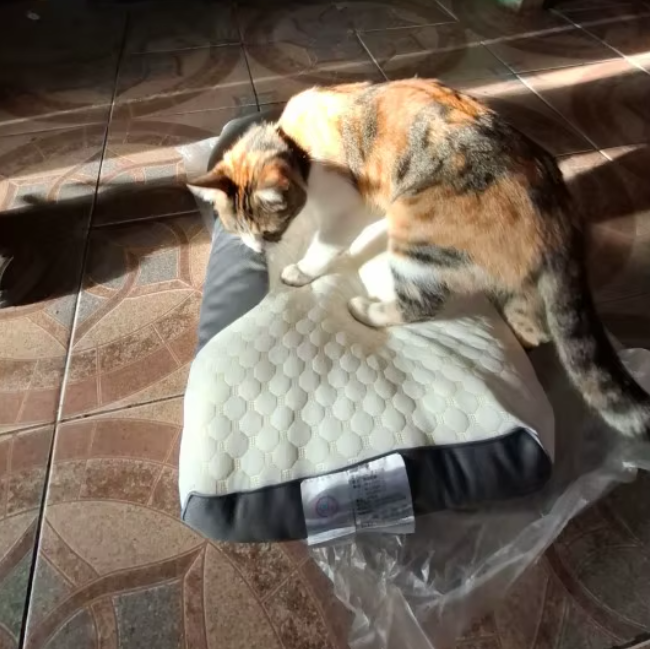 3D SPA MASAJ YASTIĞI