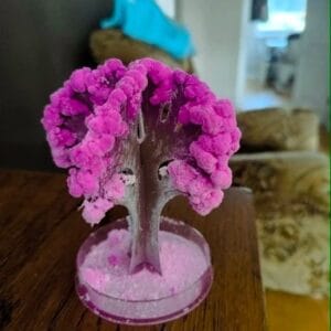 Sehrli sakura ağacı