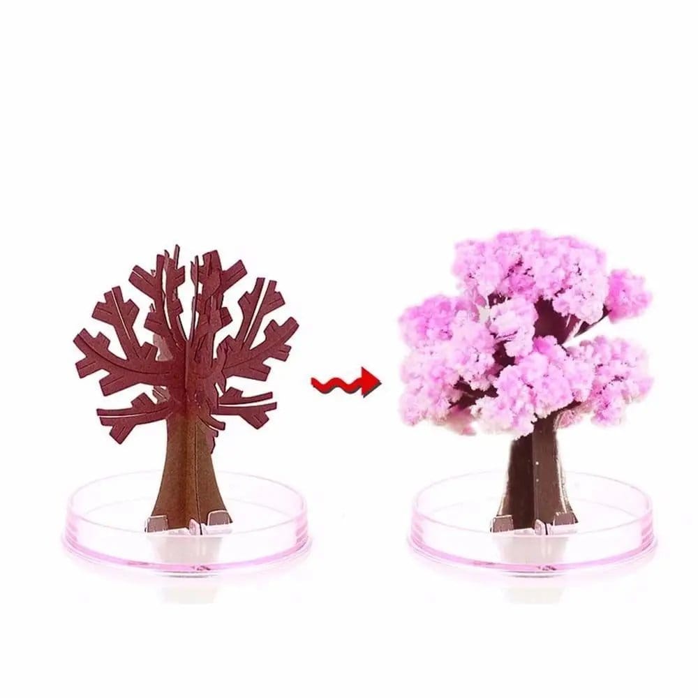 Sehrli sakura ağacı