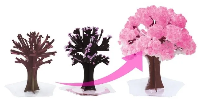 Sehrli sakura ağacı