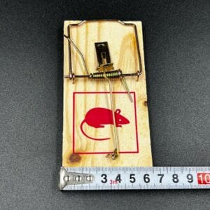 Orta ölçülü taxta siçan tələsi