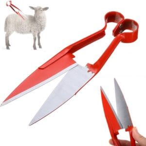 Qoyun qırxan qayçı qırmızı