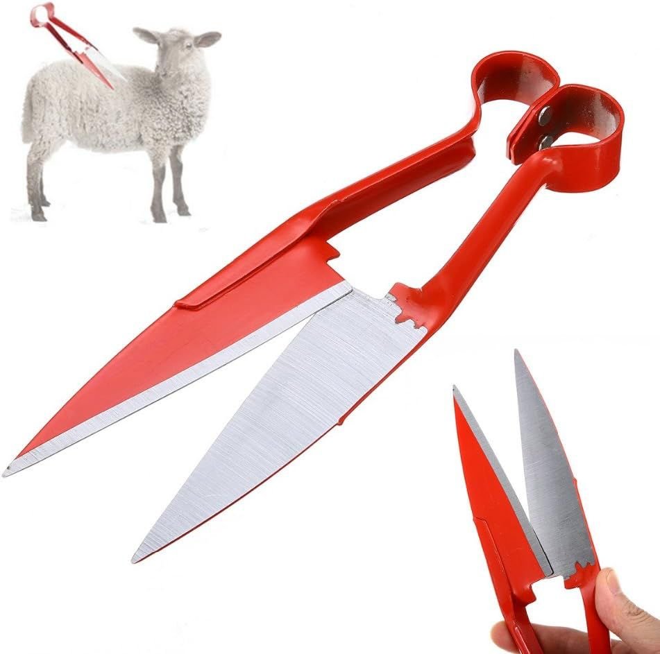 Qoyun qırxan qayçı qırmızı