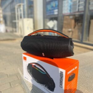 B31 portativ dinamik